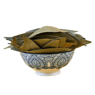 https://cdn.shopify.com/s/files/1/1857/6931/files/JUEEbiFq4Y-996161.jpg?v=1736146016